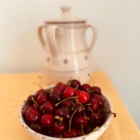 Domus Angela Lejlighed