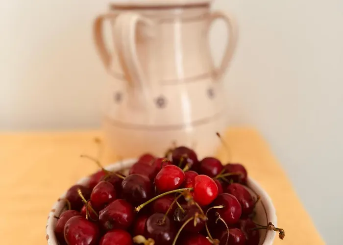 Domus Angela Apartament